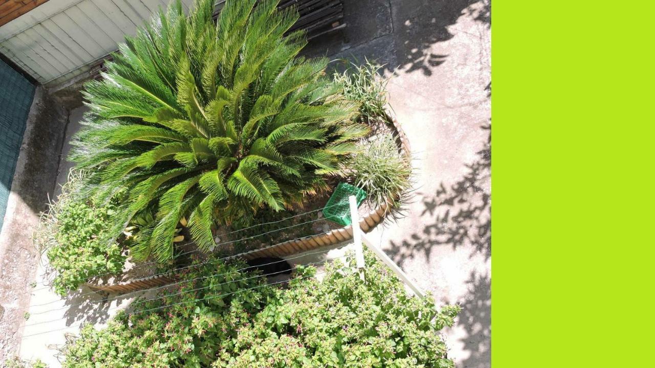 Nice/Nizza : Apartment Exterior foto